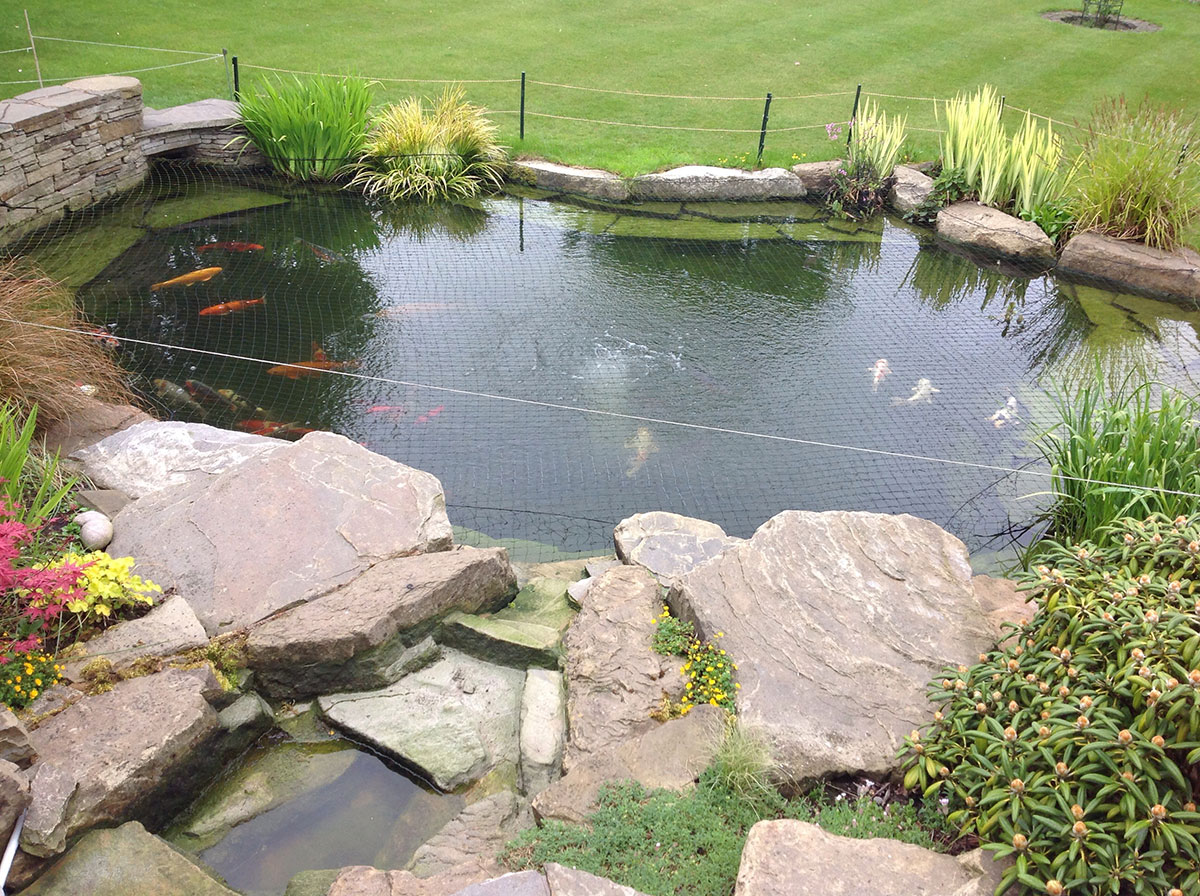 Mini digger hire in Haringey for pond excavation and landscaping