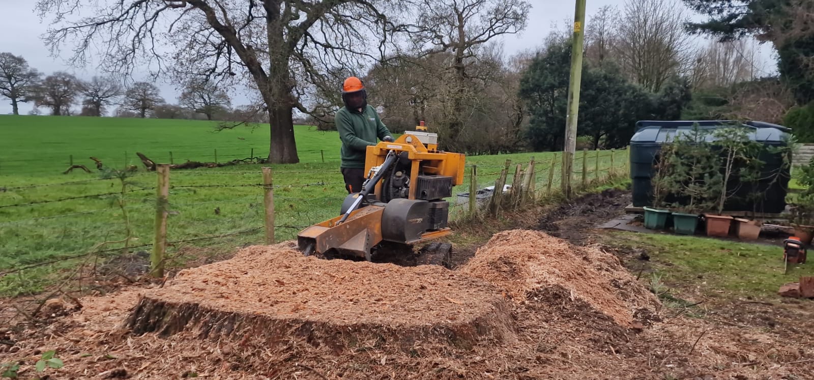 Mini digger hire in Haringey for tree stump removal and groundworks